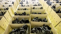 Губернатор Вячеслав Гладков сообщил об отправке гуманитарного груза бойцам в ДНР и ЛНР
