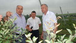 Коллегия при главе администрации Волоконовского района посетила Погромский сельский округ