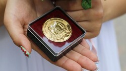 Около 900 белгородских выпускников школ смогут стать медалистами в этом году
