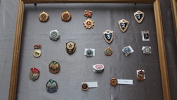 Волоконовские фалеристы передали свои коллекции в краеведческий музей