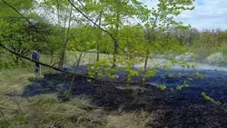 Отделение надзорной деятельности по Волоконовскому району – о пожароопасном периоде