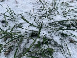 Синоптики предупредили о похолодании в эту пятницу