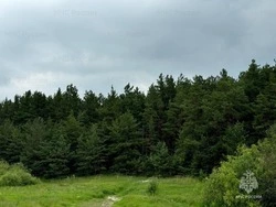 Белгородские синоптики прогнозируют облачную с прояснениями погоду 24 июля на территории региона
