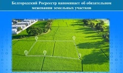 Белгородский Росреестр напомнил об обязательном межевании земельных участков