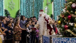 Родители смогут посетить новогодние утренники в детских садах Волоконовского района