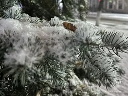 Мокрый снег и гололедица ожидают волоконовцев в четверг