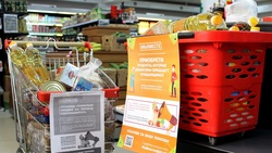 Волонтёры доставили белгородцам более 500 кг продуктов в рамках акции #МыВместе