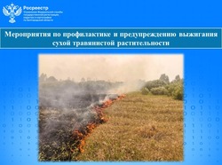 Региональный Росреестр рассказал о необходимости соблюдения правил противопожарного режима