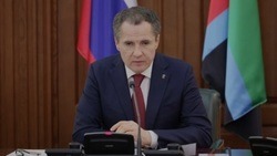 Эксперт «Клуба регионов» оценил усиление инвестиционной политики Белгородской области