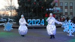 Череду новогодних праздников и гуляний в Волоконовском районе открывает торжество у главной ёлки 