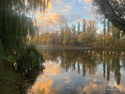 Температура воздуха достигнет 14 градусов тепла в Белгородской области 24 октября