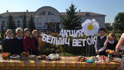 Ученики Волоконовского района присоединились к благотворительной акции «Белый цветок»