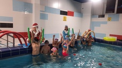 Юные волоконовцы приняли участие в соревнованиях по плаванию «Вперед, в Новый год!»