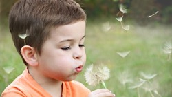 Благотворительный фонд «Алёша» запустил акцию «Дети вместо цветов»-2020