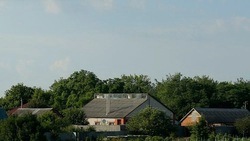 Минцифры Белгородской области – об использовании бесплатной сотовой связи в приграничье 
