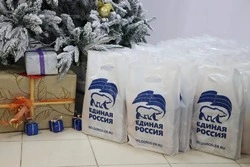 Партия «Единая Россия» провела новогодний утренник для Волоконовских приёмных детей и детей с ОВЗ