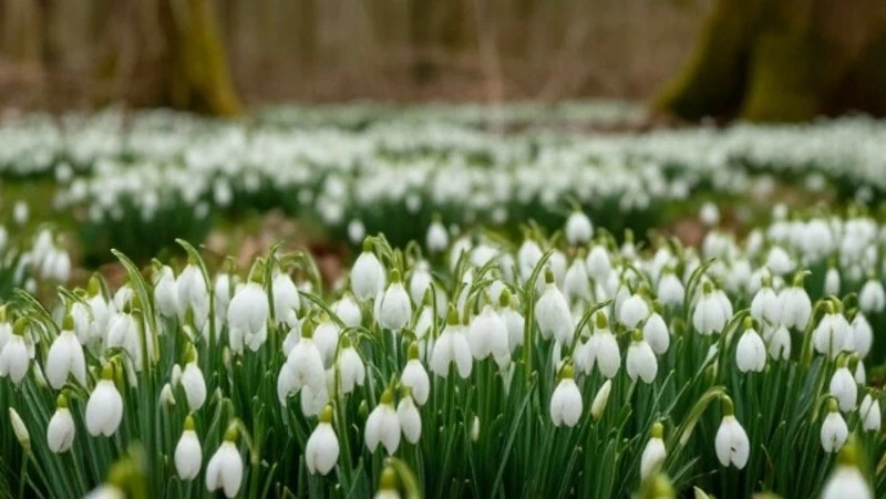 До 15 градусов потеплеет в Белгородской области в среду