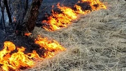 Специалисты Росреестра напомнили волоконовцам о запрете пала сухой травы