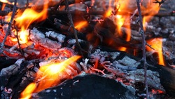 Житель одного из волоконовских сёл выжег траву на площади более 700 тысяч кв. м