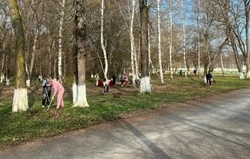 Месячник добровольного служения Белгородской области продолжился в Волоконовке