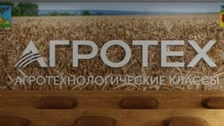 В Волоконовской средней школе появится «Агрокласс»