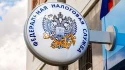 В УФНС России рассказали, кто сможет получить семейную налоговую выплату