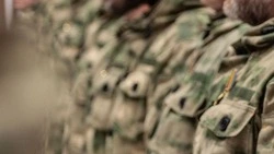 Вячеслав Гладков рассказал о трудоустройстве участников СВО