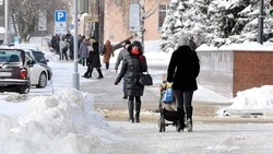 Вячеслав Гладков рассказал о проекте «Добрые соседи»