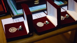 Сергей Бикетов получил медаль ордена «За заслуги перед Отечеством» II степени