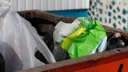 Вячеслав Гладков – об установке контейнеров для мусора в селе Голофеевка Волоконовского района 