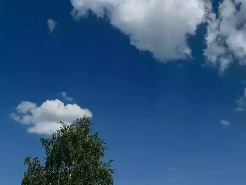 В Волоконовском округе в результате атаки погибли двое подростков