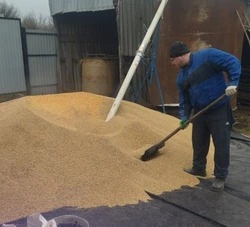 Житель села Чапельное Денис Водопьянов развивает собственное дело благодаря соцконтракту