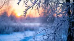 Температура воздуха опустится до 26 градусов мороза в Белгородской области в четверг