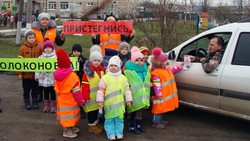 Волоконовские полицейские рассказали детям о правилах дорожного движения