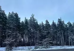 Белгородцев предупредили об аномально-холодной погоде в пятницу