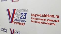Вячеслав Гладков сообщил о старте трёхдневной избирательной кампании в регионе