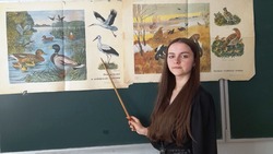 Волокончанка приняла участие в областной экологической акции «Птицы – наши друзья»