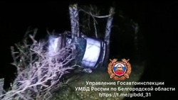 Две 18-летние девушки погибли в ДТП в Волоконовском районе