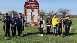 Школьные лесничества Волоконовского района приняли участие во Всероссийском заочном смотре-конкурсе