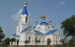 Суд над смоковницей и образ Иосифа: о чем напоминает Великий понедельник