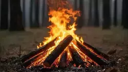Особый противопожарный режим в Белгородской области продлится до 26 октября