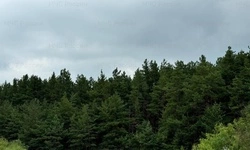 Синоптики спрогнозировали небольшие дожди, местами грозы в Белгородской области