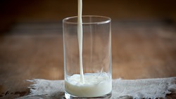 Ветлаборатория Белгородской области опубликовала данные о фальсифицированной молочке