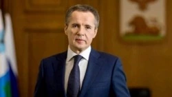 Вячеслав Гладков поздравил сотрудников местного самоуправления с профессиональным праздником