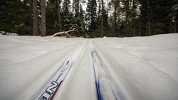 Волокончане успели покататься на лыжах этой малоснежной зимой
