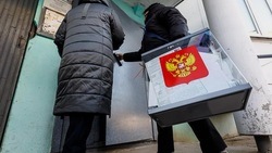Явка на президентских выборах в Белгородской области к 15:00 второго дня превысила 73%