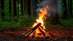Особый противопожарный режим в Белгородской области продлится до 24 августа