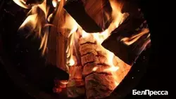 Губернатор Вячеслав Гладков: «В регионе выполнили 84% от плана по централизованной заготовке дров»