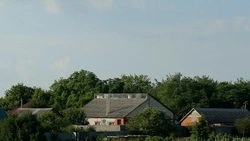Минцифры Белгородской области – об использовании бесплатной сотовой связи в приграничье 
