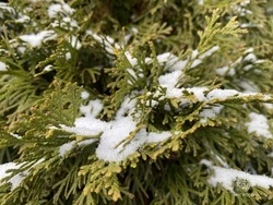 16 декабря в области ожидается облачная с прояснениями погода